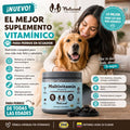 Suplemento Mascotas bonitas